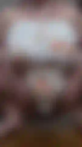 Chatte poilue de près.