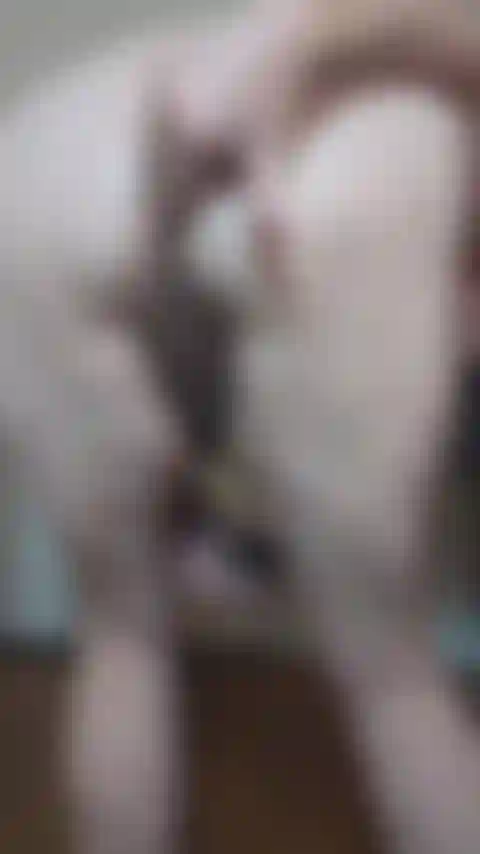 Concombre anal et atm !