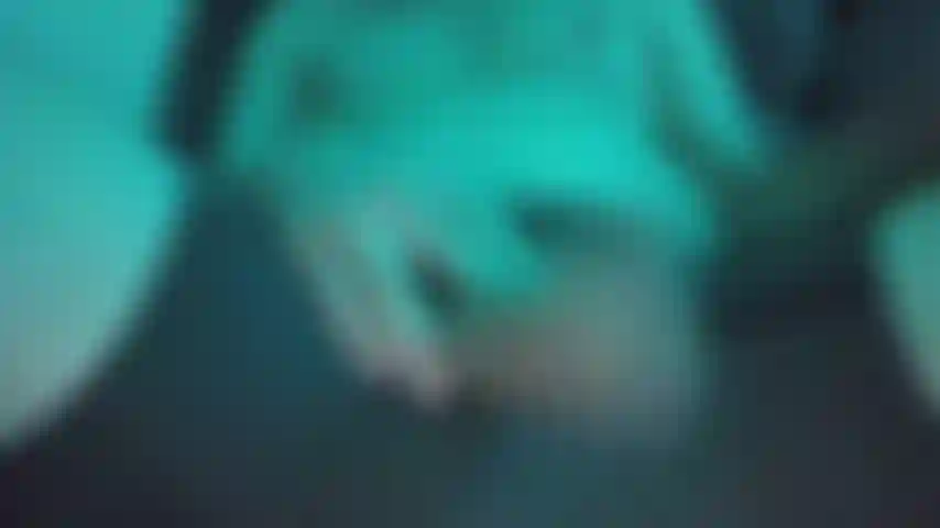Watch me play with my Cock