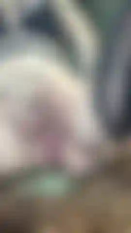 rubbing my pregnant pussy outdoors