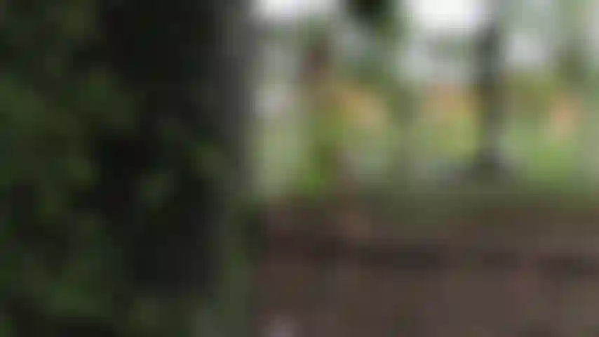 L'intimité dans la nature fait que les vêtements de maia tombent lentement jusqu'à ce qu'elle soit complètement nue pour toucher son corps découvert.