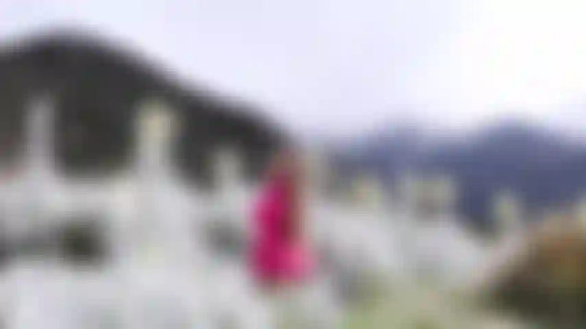 Je connais un peu mon pays.