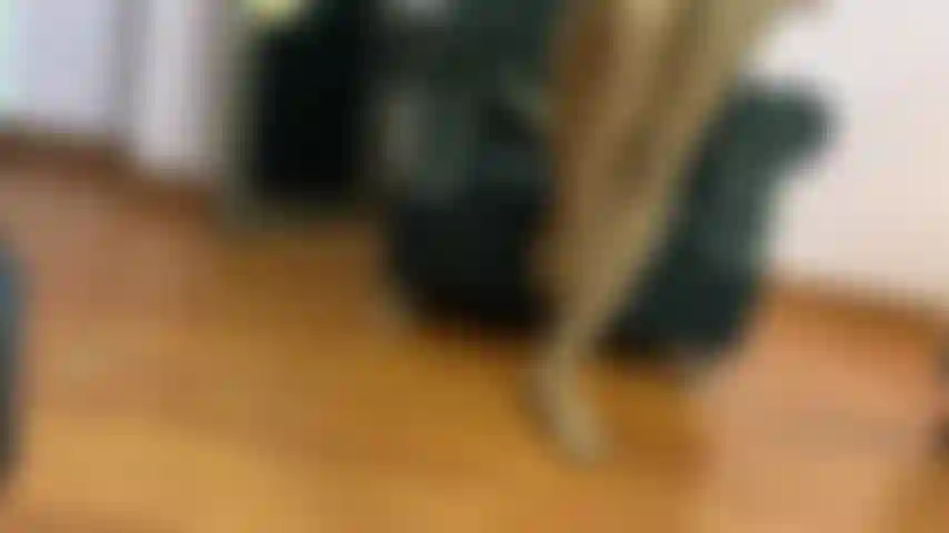 Je modèle mes collants pour vous.