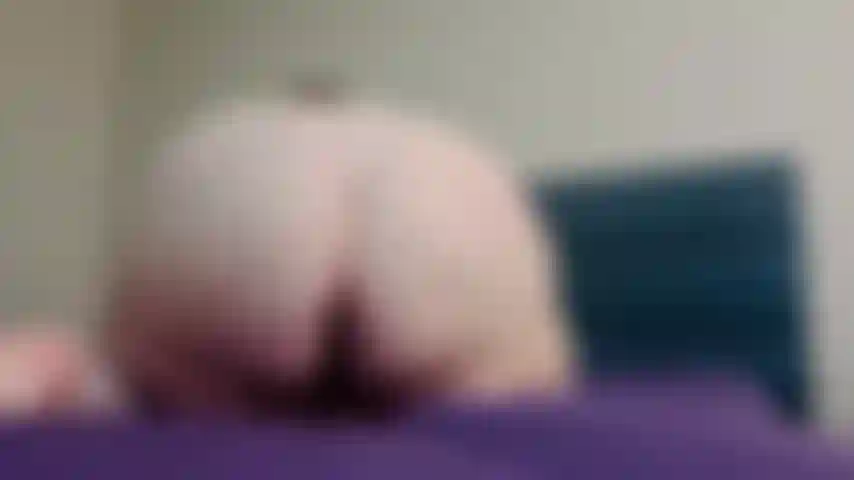 Un chien booty buttplug.