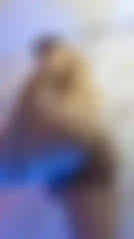 Do you want to come and enjoy a night with me?