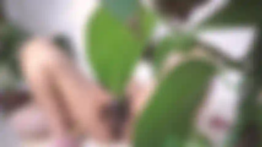 Surprise en train d'espionner et humiliée.