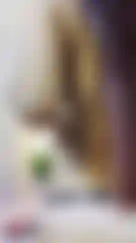 Don't look quickly... savor