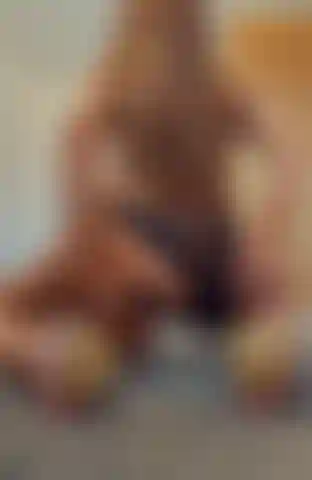 Dildo fuck from behind