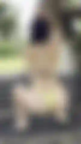 Je cambre le dos et secoue mon gros cul juste devant la caméra. Ça te donne envie de l'attraper, n'est-ce pas ?
