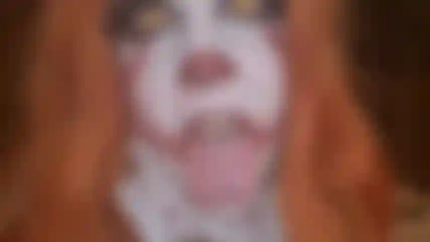 Cosplay pe**ywise : jeu de gode chaud.