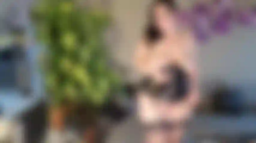 Vidéo de rêve - répondez aux souhaits des utilisateurs.