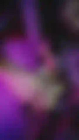 The best view of a tight pussy