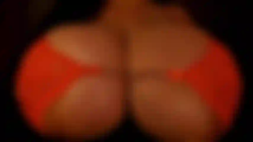 Tu es ma chienne favorite !