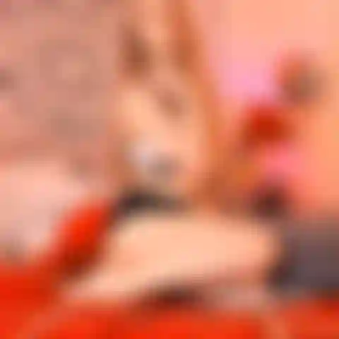 Les meilleures positions sexuelles | quand je suis à genoux.