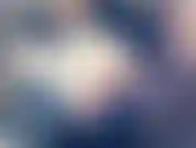 Je sais que tu feras n'importe quoi pour moi, mets-toi à genoux.