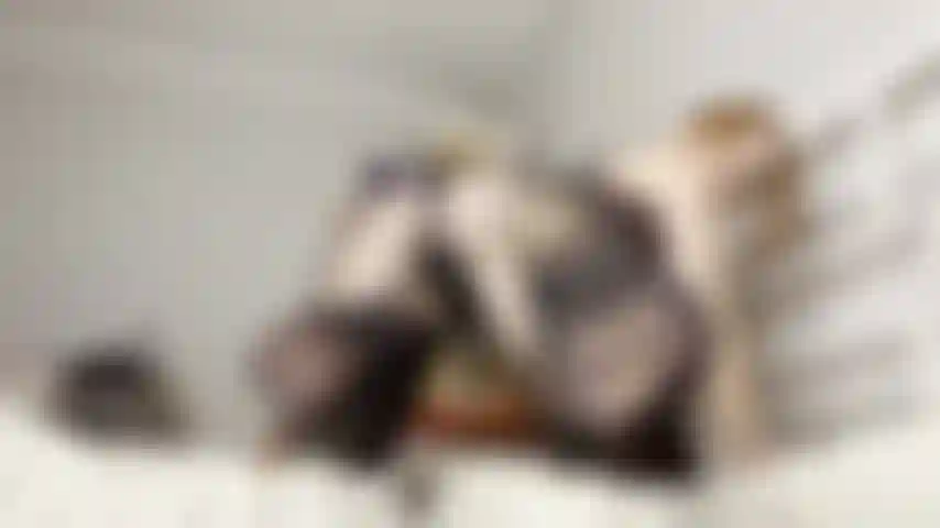 Black pantyhose tease!