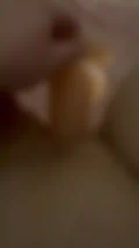 Img_5729.