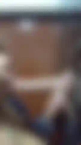 secretly giving blowjobs in the company bathroom