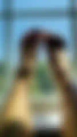 Pieds et orteils sexy dans la fenêtre.