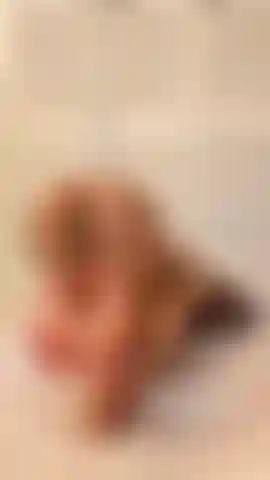 Footjob en position de levrette sur un gode.