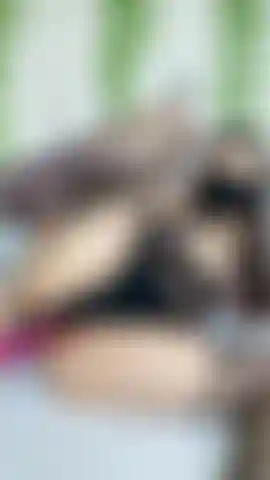 J'utilise un vibromasseur dans mon trou du cul.