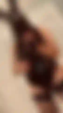 Sangle sur domme tease.