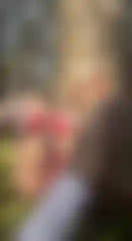 Jeux publics pt 1 (gicler sur la forêt).