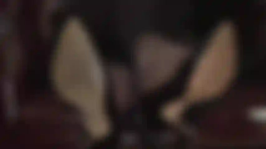 Lèche mes chaussures sales pour les nettoyer. Les chevilles croisées de ma maîtresse t'excitent énormément, tandis qu'elle porte des escarpins noirs vernis et te tente avec ses collants. Ta récompense : renifler et lécher ces magnifiques orteils en nylon.