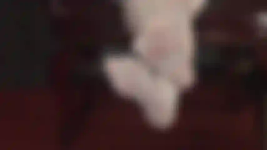 Tu ne te lasses pas des pieds de ta maîtresse, qu'ils soient enveloppés dans des collants blancs très brillants ou nus. Maîtresse vivian exploite ton fétichisme des pieds.