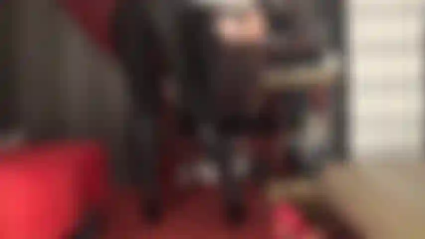 Maîtresse vous a rempli du désir de caresser votre bite partout dans ces leggings noirs serrés en spandex et ces bottes en cuir jusqu'aux genoux.