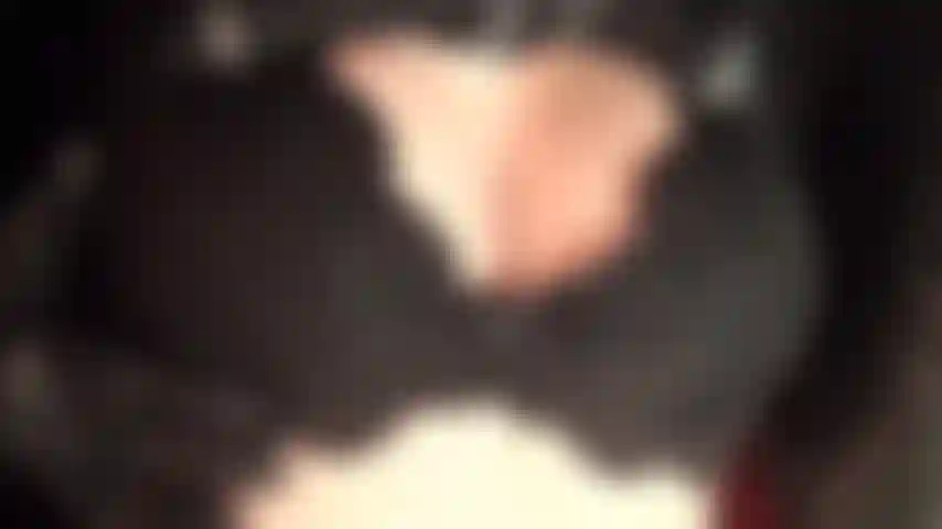 Un décolleté sexy et taquin en soutien-gorge en dentelle noire et gants en cuir.