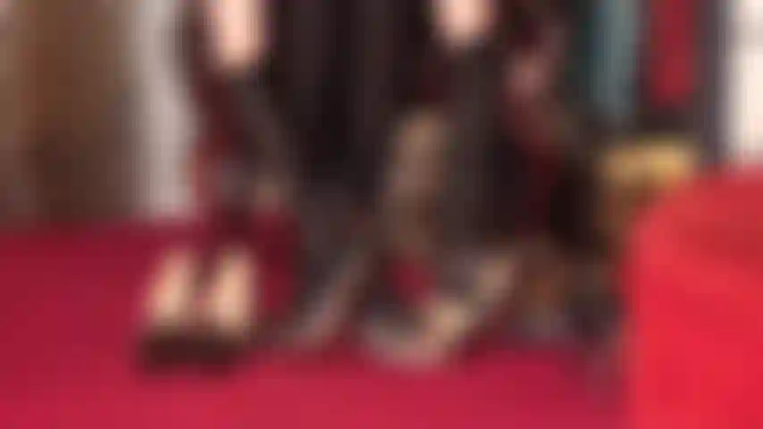 200712-0000- Talons à pompons-variété.