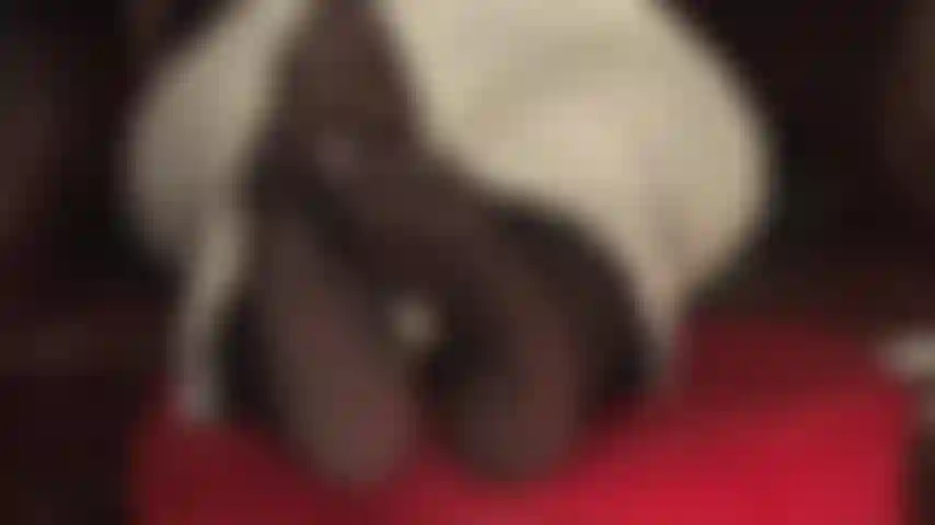 Je nourris ton addiction au fétichisme des pieds - maîtresse vivian remue ses jolis pieds en collants devant ton visage.