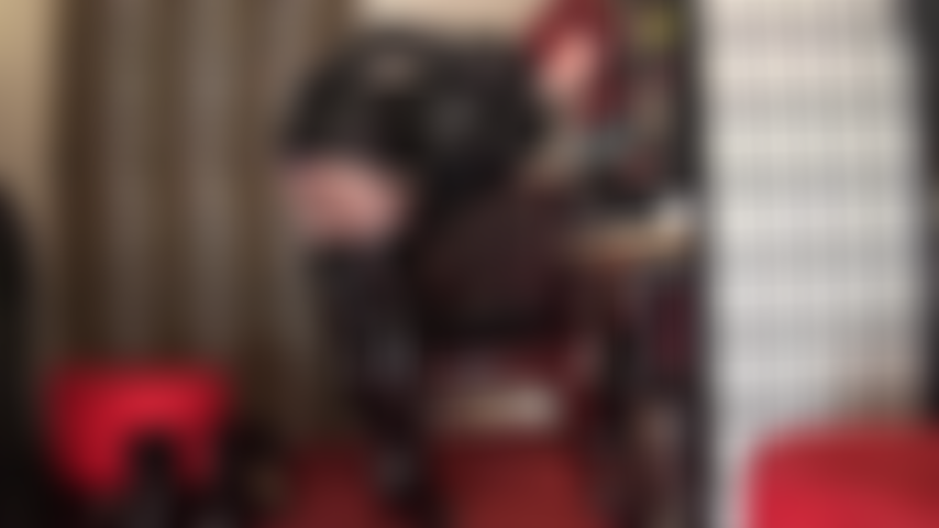 Maîtresse vivian sait que contracter ses beaux muscles fessiers vous rend fou. Adore son cul parfait dans une jupe en cuir, une culotte en satin et des collants.