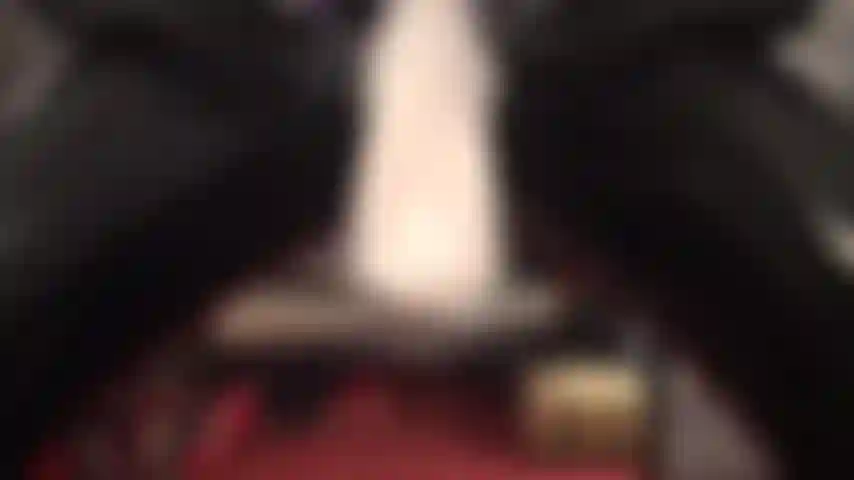 Des leggings en pvc, des talons sexy et un gros gode-ceinture recouvert de nylon - ta chatte d'homme tremble et ta bouche est grande ouverte à la vue de l'énorme bite charnue de ta maîtresse.