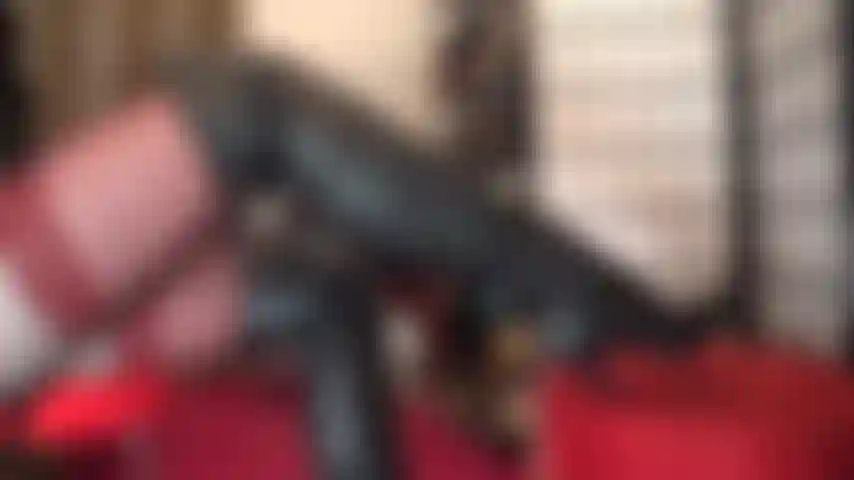 Fétichiste des bottes et des gants en cuir.