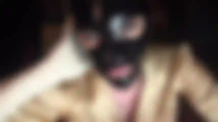 Fétichiste du latex - cagoule en caoutchouc noir brillant et gants en latex blanc.