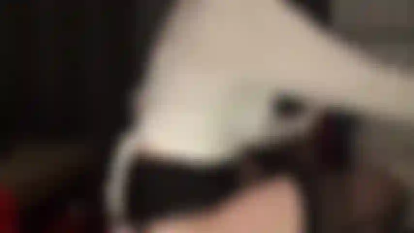 Amoureuse du spandex - ma maîtresse montre son incroyable collection de collants en spandex, puis regarde-la passer des bas et des jarretières à une paire de leohex marron brillant.