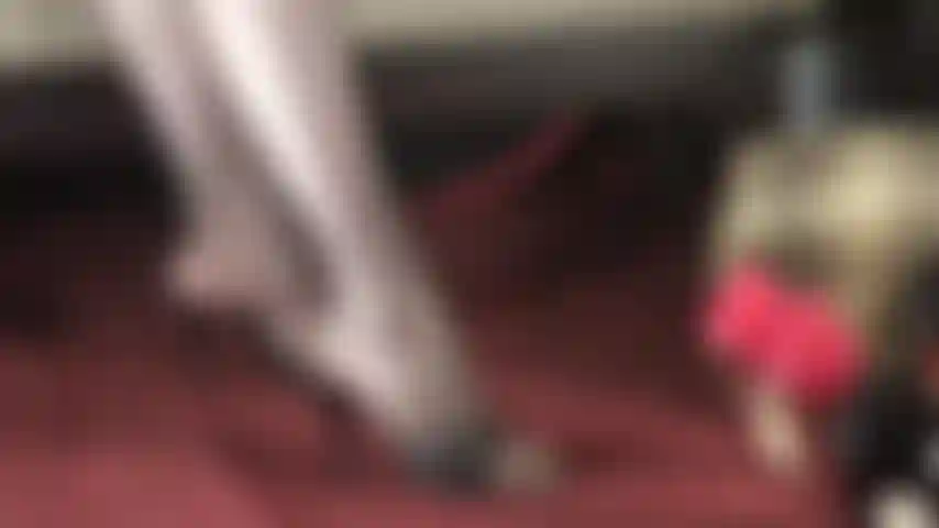 Bow down and kiss my feet - Beautiful leather slides and sheer high gloss pantyhose toes invite to be adored. (femdom, foot fetish, pantyhose feet, mules, high heels, stilettos, foot worship, foot adoration, glossy, shiny, nylons, nylon feet, high arches)
