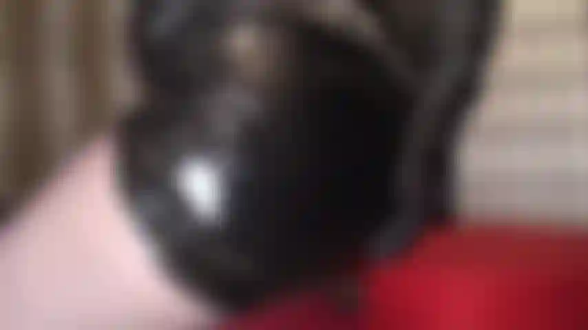 Adore mon cul en cuir noir et collants - mon cul te fait frémir, tu dois te soumettre à mes courbes parfaites en cuir et collants.