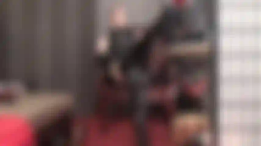 J'adore les bottes et les talons hauts. Les jambes de ma maîtresse sont magnifiques, qu'elles soient en talons ou en bottes. Et ma maîtresse vous autorise à adorer plusieurs paires de ses bottes et talons aiguilles.