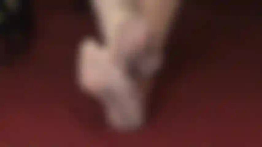 Des bas à coutures aux orteils, si transparents - les bas ivoire magnifiquement cousus sont un délice visuel pour chaque footboy.