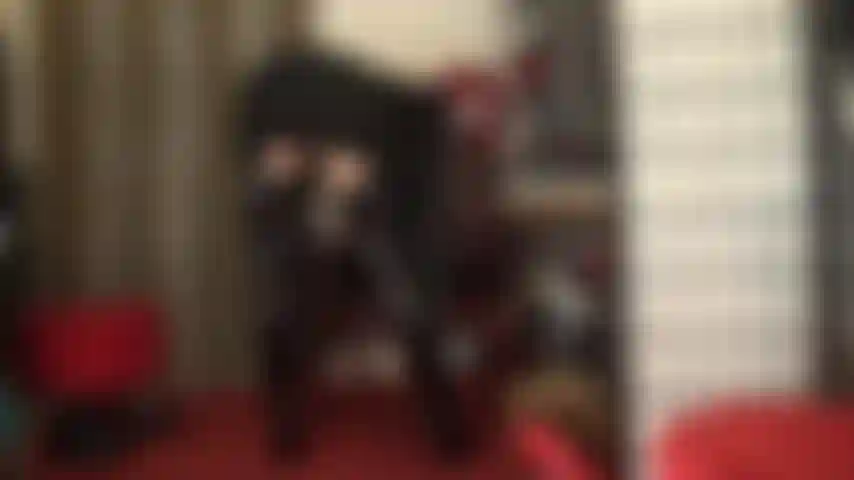 Des bottes hautes brillantes, des bas, des jarretières, une culotte en pvc brillante - votre bite d'esclave douloureuse est entre de bonnes mains car la maîtresse la contrôle avec ses gants en cuir.