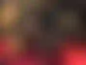 J'adore les grosses bites noires.