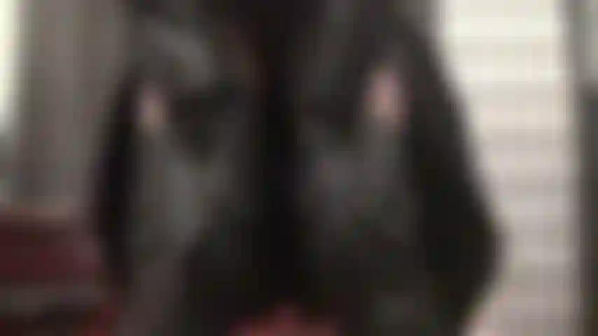 Leather and lace - The ass you want to kiss and the hips you want to feel thrusting into you, underneath her long leather coat.