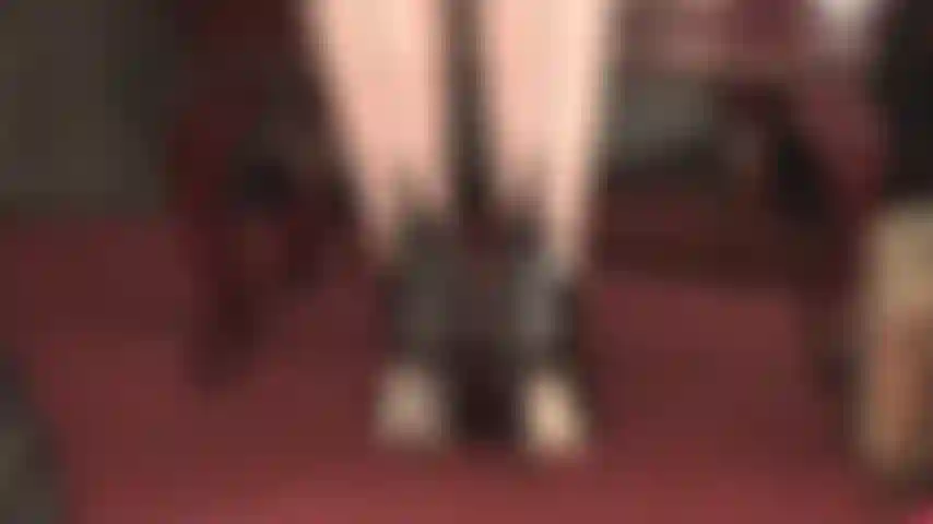 Corset lacé dans le dos, talons hauts - adoration des talons, fétichisme des pieds, collants à coutures, trempage de chaussures, arches hautes, gants en cuir et taquinerie de cravache.