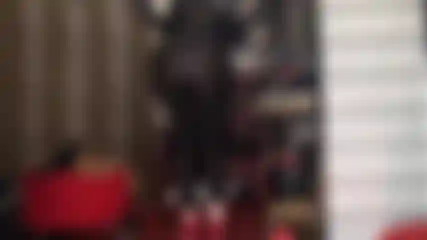 Accro au cul parfait de la maîtresse vivian - profitez de ce culte du cul depuis les leggings en spandex noir et brillant jusqu'au cul nu en string bleu marine.