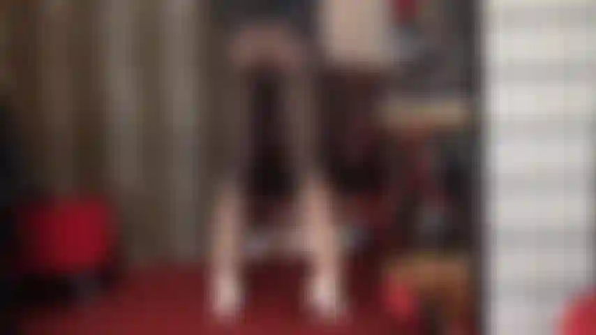 J'adore les collants bicolores ombrés noirs et blancs.