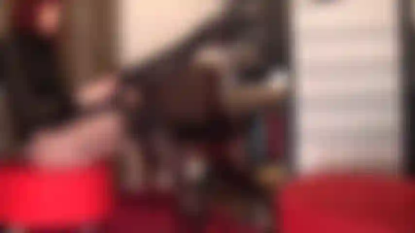 Un plaisir de gode giclant en désordre avec les jambes croisées dans une paire de collants à motifs de bas et de jarretelles et de hautes mules à plateforme.