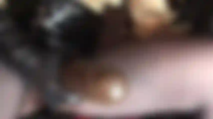 Un gode-ceinture épais et charnu, couleur chocolat. Son nom est bam et « bam ! » Il se fera baiser dans ta bouche de pute.